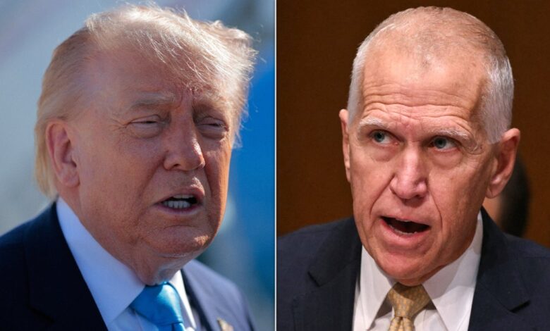 Trump Calls Tillis ‘Quitter’ as GOP Rift Widens