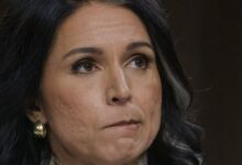 Tulsi Gabbard quits DNI role after rare cancer diagnosis