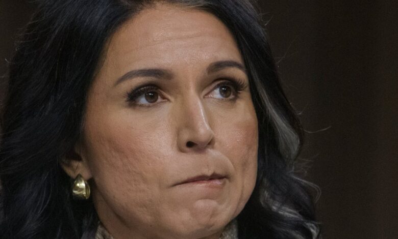 Tulsi Gabbard quits DNI role after rare cancer diagnosis Tulsi Gabbard quits DNI role after rare cancer diagnosis