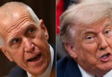 Thom Tillis Cannibalizes Trump’s MAGA Bid in Texas