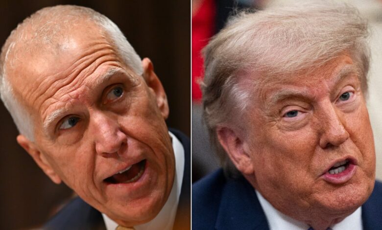 Thom Tillis Cannibalizes Trump’s MAGA Bid in Texas Thom Tillis Cannibalizes Trump’s MAGA Bid in Texas