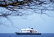 What is hantavirus? How did cruise tourists get it?