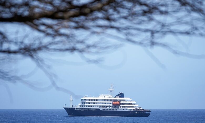 What is hantavirus? How did cruise tourists get it?