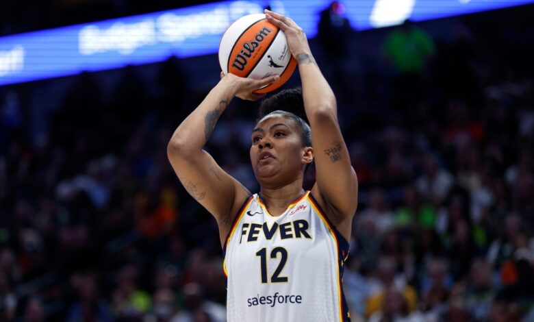 Indiana Fever Veteran Dantas Faces Visa Delay, Returns Happy