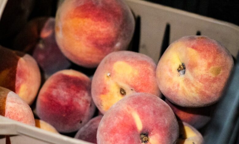 Del Monte bankruptcy triggers massive peach tree removals