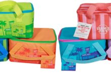 Trader Joe’s unveils new mini insulated tote bags. Expect zero chill