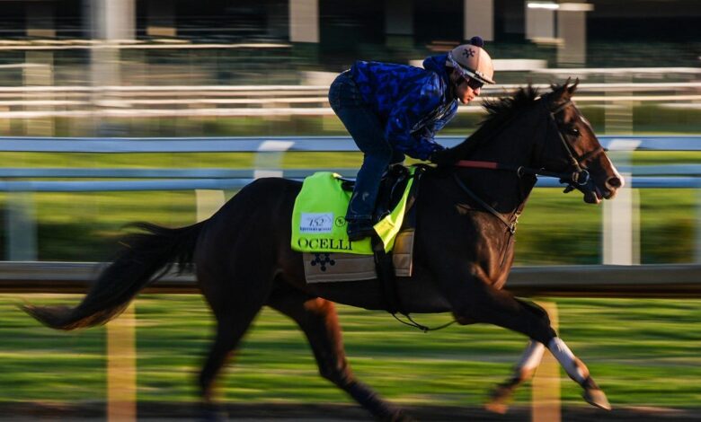 Golden Tempo skips Preakness as 3 Derby horses return