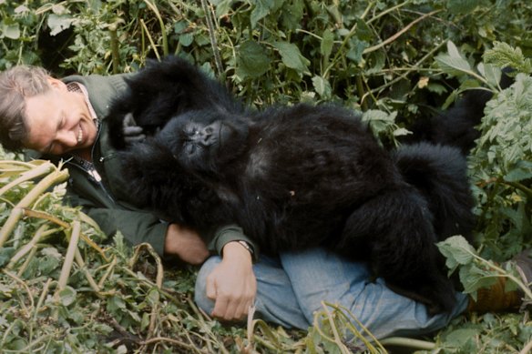 Legend. Icon. Prophet. David Attenborough on the cusp of 100