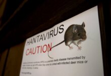 Three dead after suspected hantavirus outbreak on cruise ship