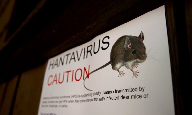 Three dead after suspected hantavirus outbreak on cruise ship