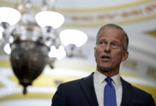 Trump Tries Pressuring Thune to Fire Parliamentarian