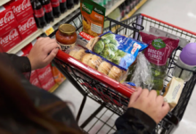 SNAP Enrollment Plunges After Trump Funding Cuts
