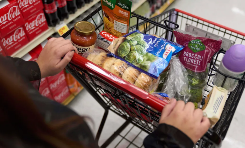 SNAP Enrollment Plunges After Trump Funding Cuts