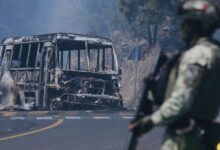 Donroe Doctrine Surge Drives Violence, Impunity
