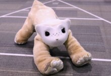 The robotics pioneer of Roomba fame is now developing this 4-legged AI-powered robot