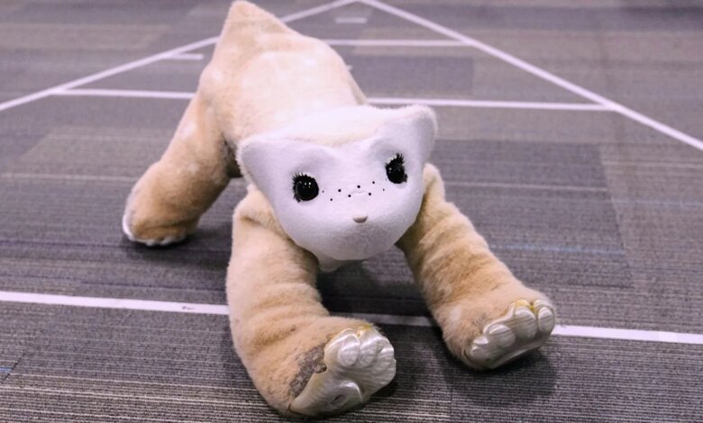 The robotics pioneer of Roomba fame is now developing this 4-legged AI-powered robot