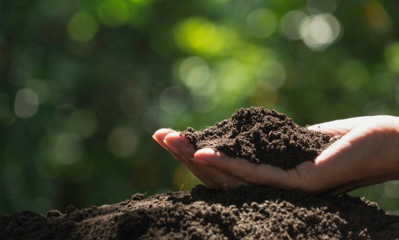 Maine students accidentally ate dirt meant for science Maine students accidentally ate dirt meant for science