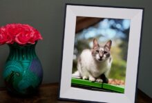 Aura Aspen Digital Frame Sale:  Off This Weekend