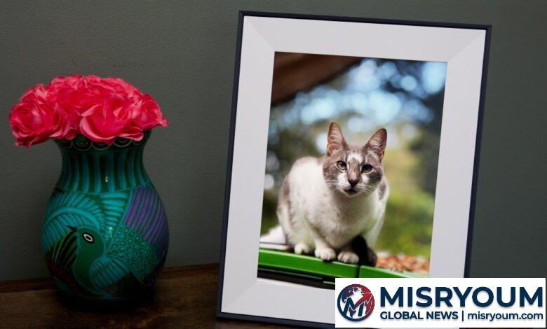 Aura Aspen Digital Frame Sale: Off This Weekend Aura Aspen Digital Frame Sale: Off This Weekend