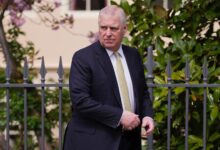 Documents show Elizabeth wanted Andrew as trade envoy