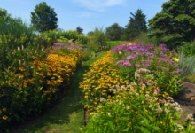 Old Farmer’s Almanac warns gardens face 2026 drought