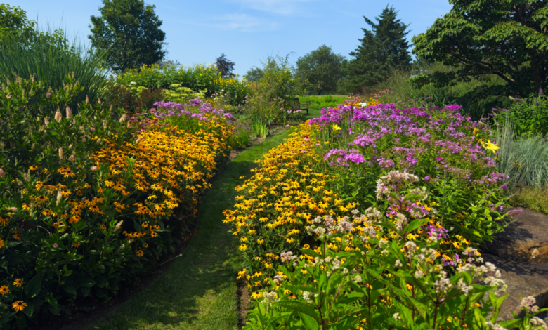 Old Farmer’s Almanac warns gardens face 2026 drought