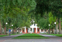 College decision season: Where California’s public high school graduates enrolled