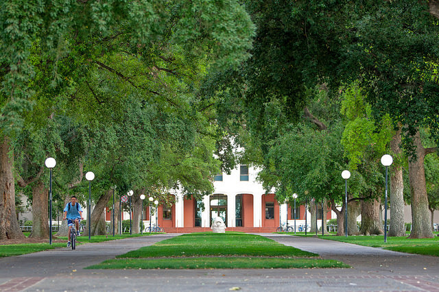 College decision season: Where California’s public high school graduates enrolled