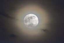 May Skies: Full Flower Moon and Summer Constellations
