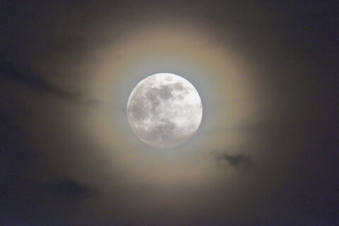 May Skies: Full Flower Moon and Summer Constellations