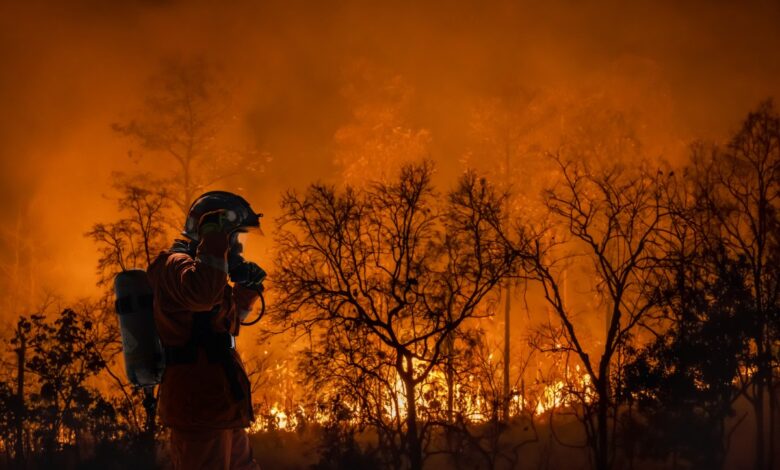 New map flags states with significant wildfire chances New map flags states with significant wildfire chances