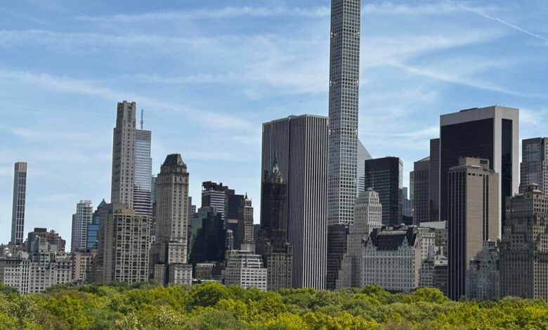 NYC’s parks may hide new species—here’s the search NYC’s parks may hide new species—here’s the search
