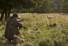 Oregon IP 28 advances toward vote, threatening hunting