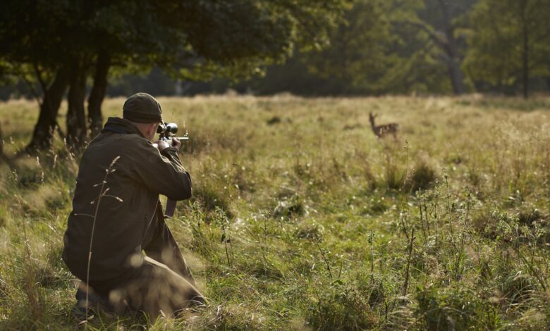 Oregon IP 28 advances toward vote, threatening hunting