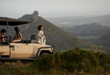 How BofA Rewards can elevate your lifestyle - The Points Guy