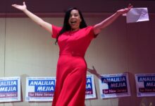 Progressive Primary Wave Tests Democrats’ 2026 Fight