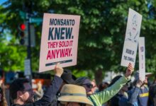 Should Roundup labels warn users about the cancer risk? It's up to the Supreme Court.