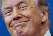 DOJ addendum bars IRS audits “forever” for Trump