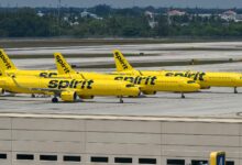 Government blames Biden administration for Spirit shutdown