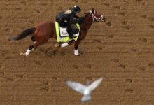 The Kentucky Derby feels a chill. How weather could impact horses, race