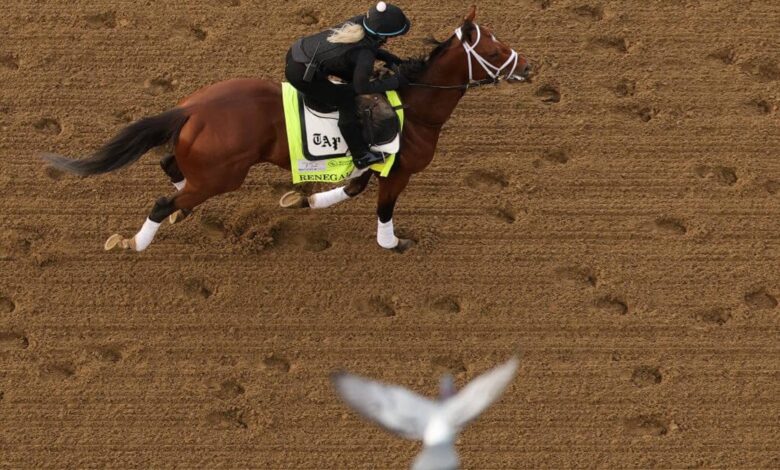The Kentucky Derby feels a chill. How weather could impact horses, race