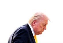 Trump’s Smartest Supporters Know the Iran War Is a Disaster