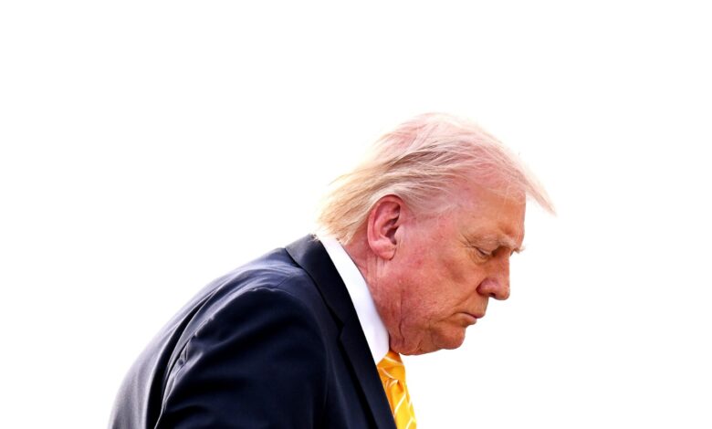 Trump’s Smartest Supporters Know the Iran War Is a Disaster