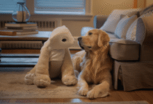 The creator of Roomba is back with a furry robot companion