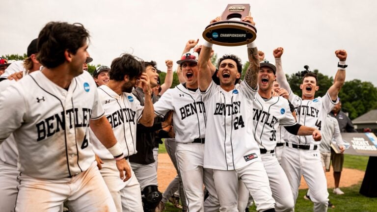 Bentley, Endicott baseball teams seize NCAA berths