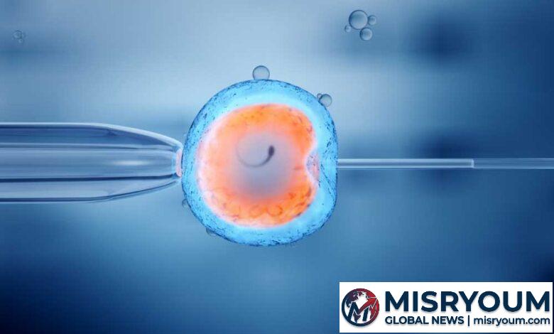 Severe Male Infertility Linked to Higher Cancer Risks Severe Male Infertility Linked to Higher Cancer Risks