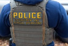 ICE Arrests in Massachusetts: Nearly Half No Charges