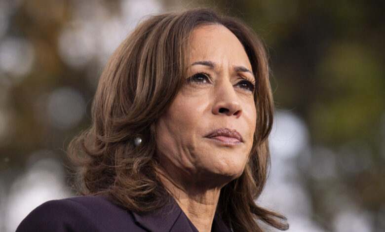 Harris 2028 buzz meets allies’ blunt ‘absolutely not’ Harris 2028 buzz meets allies’ blunt ‘absolutely not’