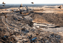 Rural North Carolina fights back against PFAS contamination