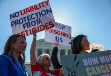 MAHA Moms Turn Against Trump Over Pesticides